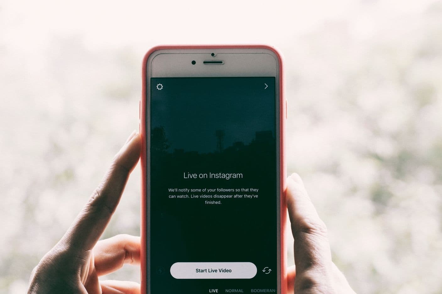 Instagram Likes günstig kaufen und den Erfolg Ihres Profils nachhaltig steigern