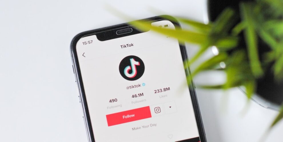 Die Macht des Einflusses: Die Dynamik von TikTok-Followern verstehen
