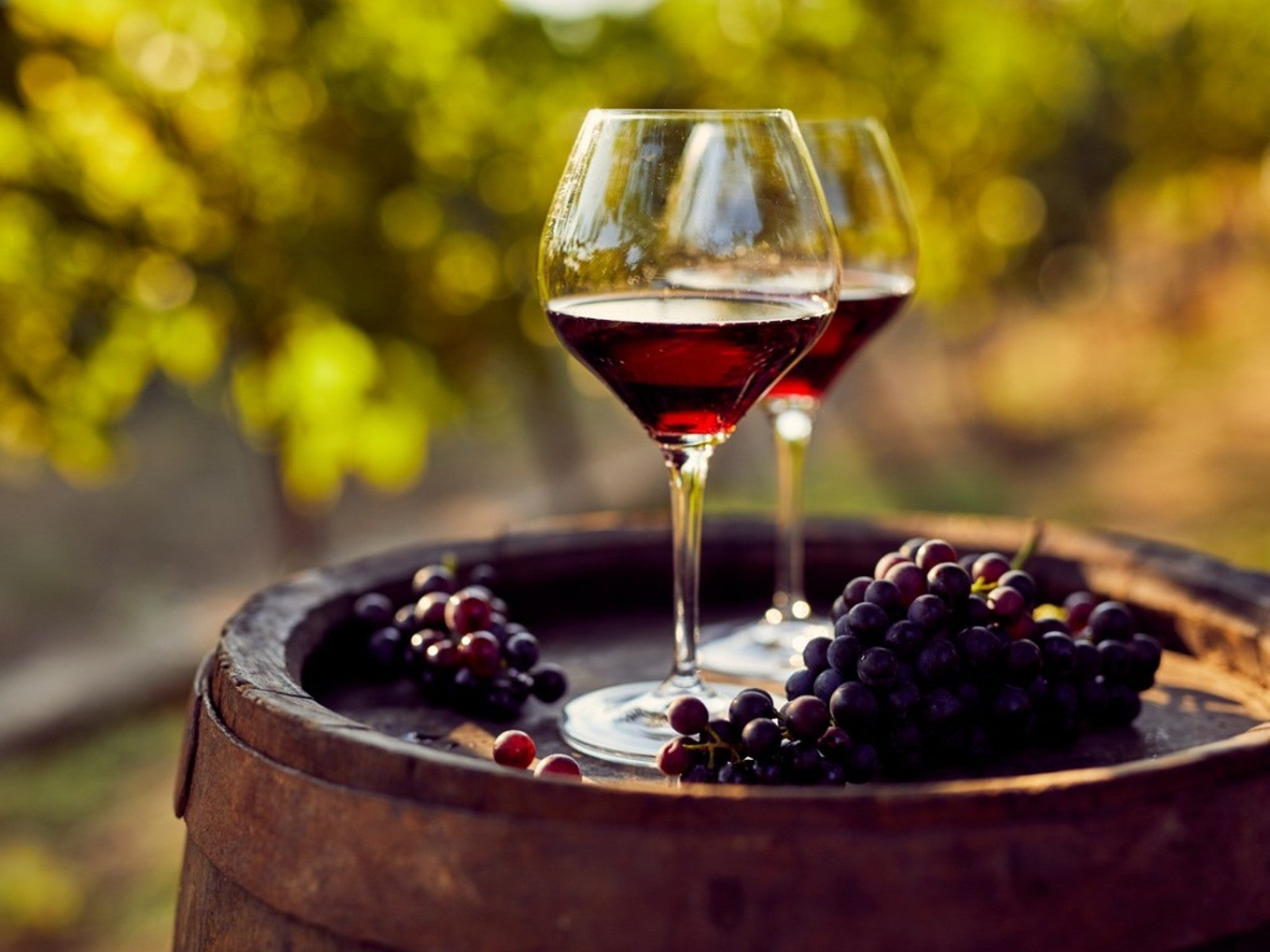 Rotwein aus Italien: Von Südtirol bis Sizilien – Die besten Weine im Überblick